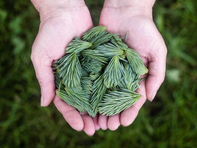 全球经济震荡