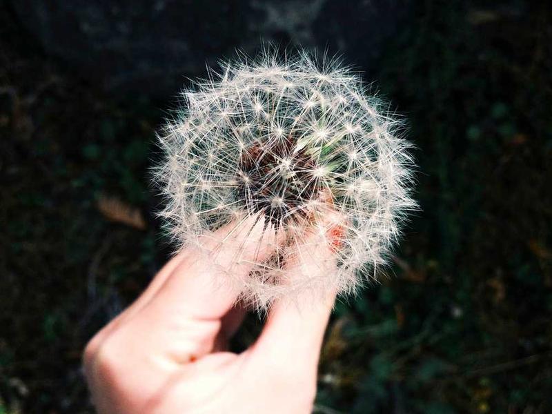 解码企业战略新密码 引领未来商业航向的制胜宝典