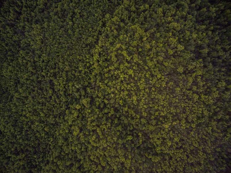 算法推荐与个性化新闻